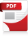 PDF Icon